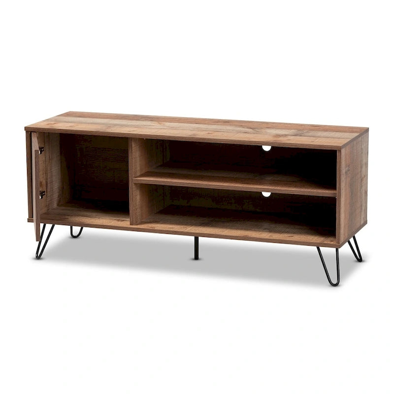 Iver Modern and Contemporary 1-Door TV Stand