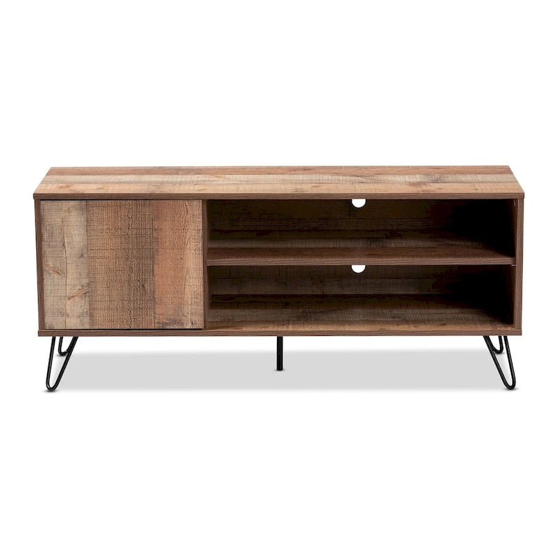 Iver Modern and Contemporary 1-Door TV Stand
