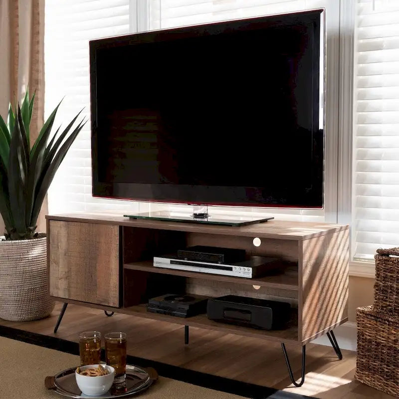 Iver Modern and Contemporary 1-Door TV Stand