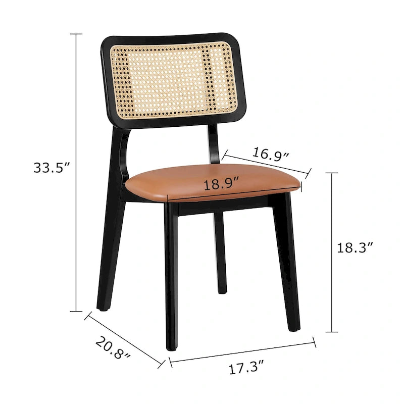 Art Leon Cane Backrest Leather Dining Chairs (Set of 2)