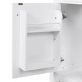 Bathroom Vanity Cabinet with Sink Top,Door and Two Drawers